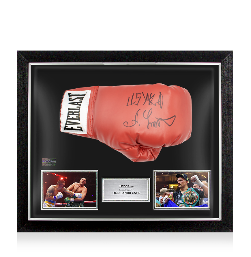 BEDWIN × EVERLAST BOXING GLOVE TYSON スカル BEDWIN × EVERLAST BOXING GLOVE TYSON スカル Everlast x