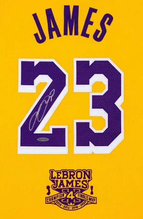 希少 刺繍 NBAユニフォーム LA Lakers LeBron James 刺繍❗️ NBAユニフォーム LA Lakers LeBron James