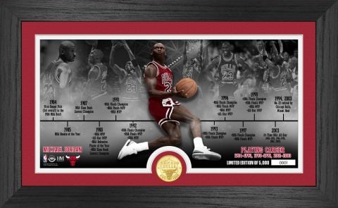 UNSIGNED Michael Jordan Chicago Bulls Career Timeline Coin Frame