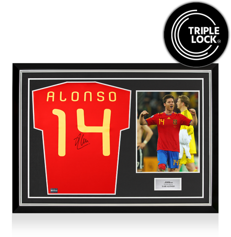 Xabi Alonso Back Signed Spain 2010 Home Shirt In Hero Frame: Option 1