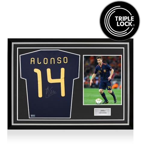 Xabi Alonso Back Signed Spain 2010 Away Shirt In Hero Frame: Option 1