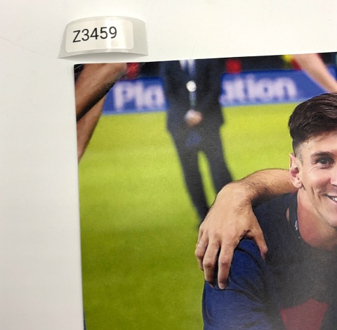 WAREHOUSE SECONDS Javier Mascherano Signed FC Barcelona Photo: UCL Winner - Grade A