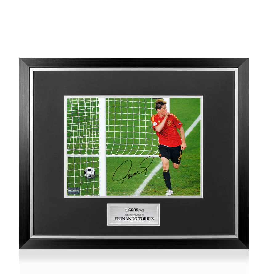 i2056_fernando_torres_premium_