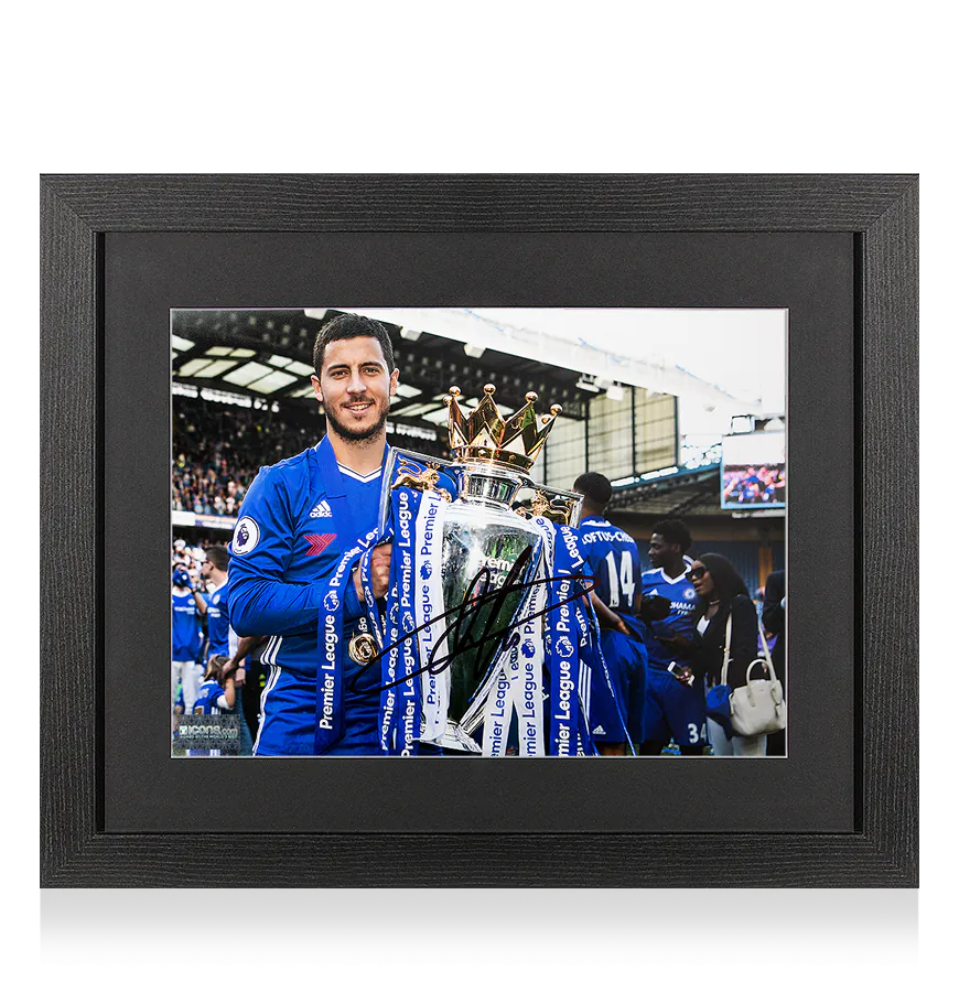 icehcp1bwf_eden_hazard_signed_