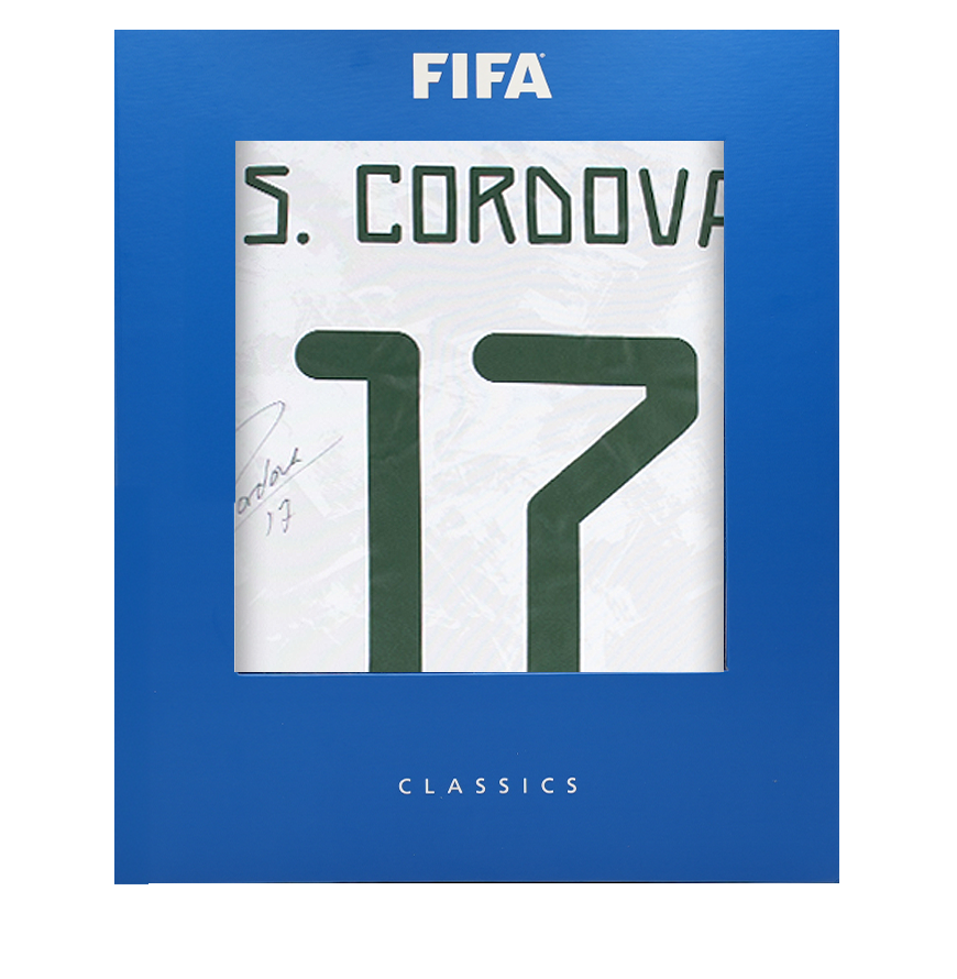 FIFA World Cup™ Icons