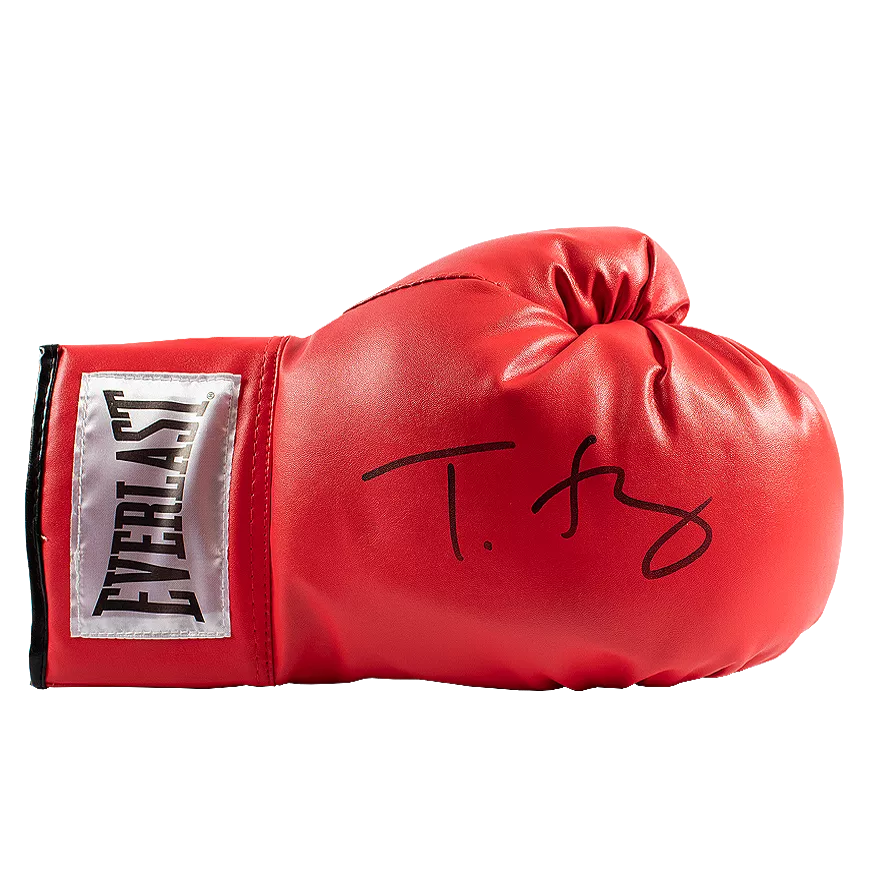 BEDWIN × EVERLAST BOXING GLOVE TYSON スカル EVERLAST EX. BOXING GLOVE 