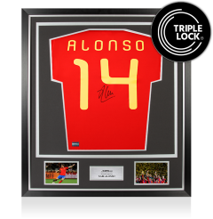 Xabi Alonso Back Signed Spain 2010 Home Shirt In Classic Frame