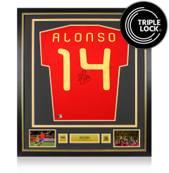 Xabi Alonso Official 2010 FIFA World Cup&trade; Back Signed and Framed Spain 2010 Home Shirt