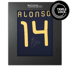 Xabi Alonso Back Signed Spain 2010 Away Shirt In Deluxe Packaging