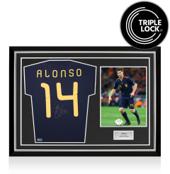 Xabi Alonso Back Signed Spain 2010 Away Shirt In Hero Frame: Option 1