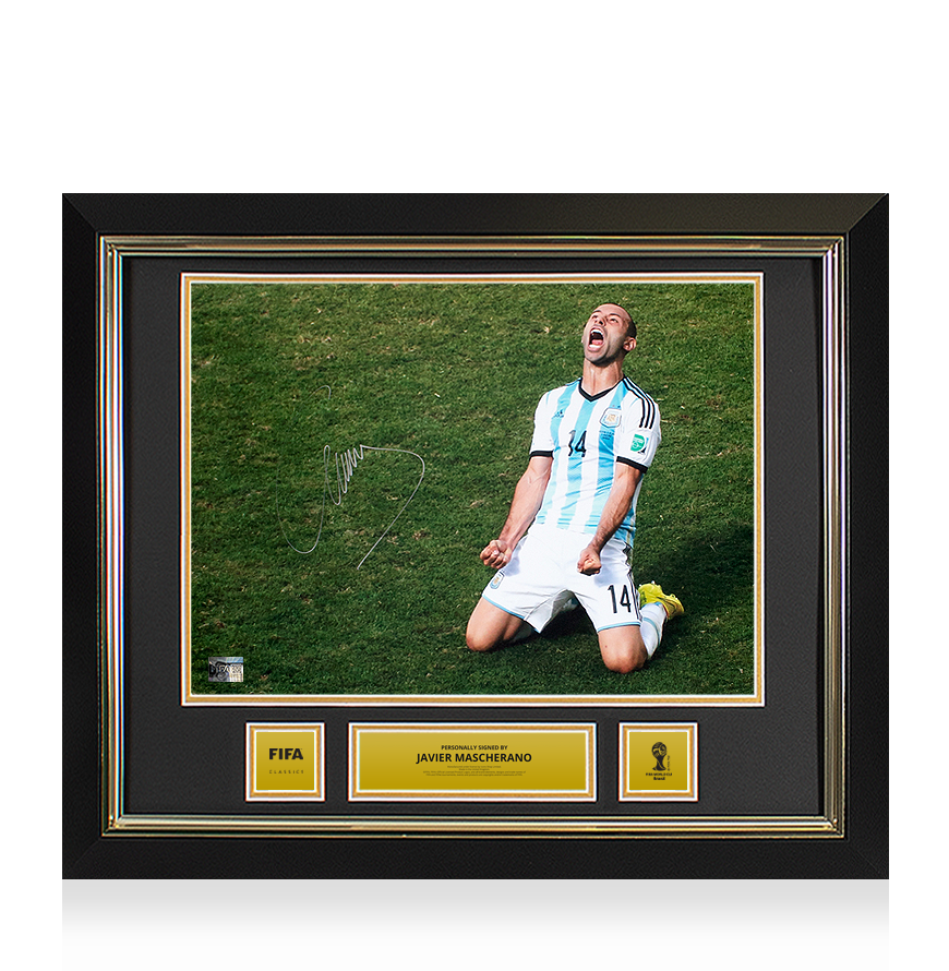 Mascherano 2014 World Cup