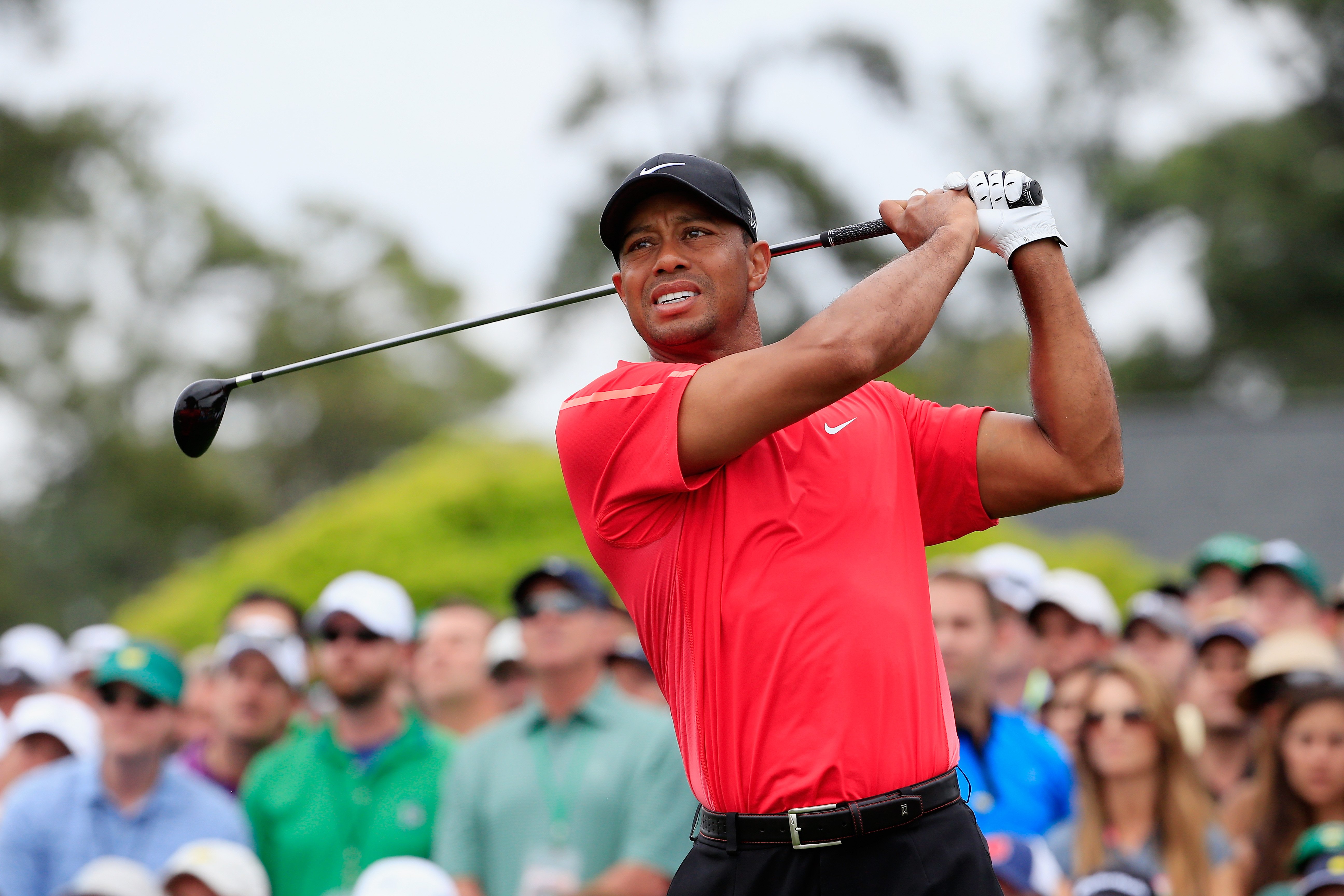 Tiger Woods signed memorabilia