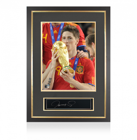 Fernando Torres Official FIFA World Cup Autographed Plaque and Photo Frame: 2010 Winner